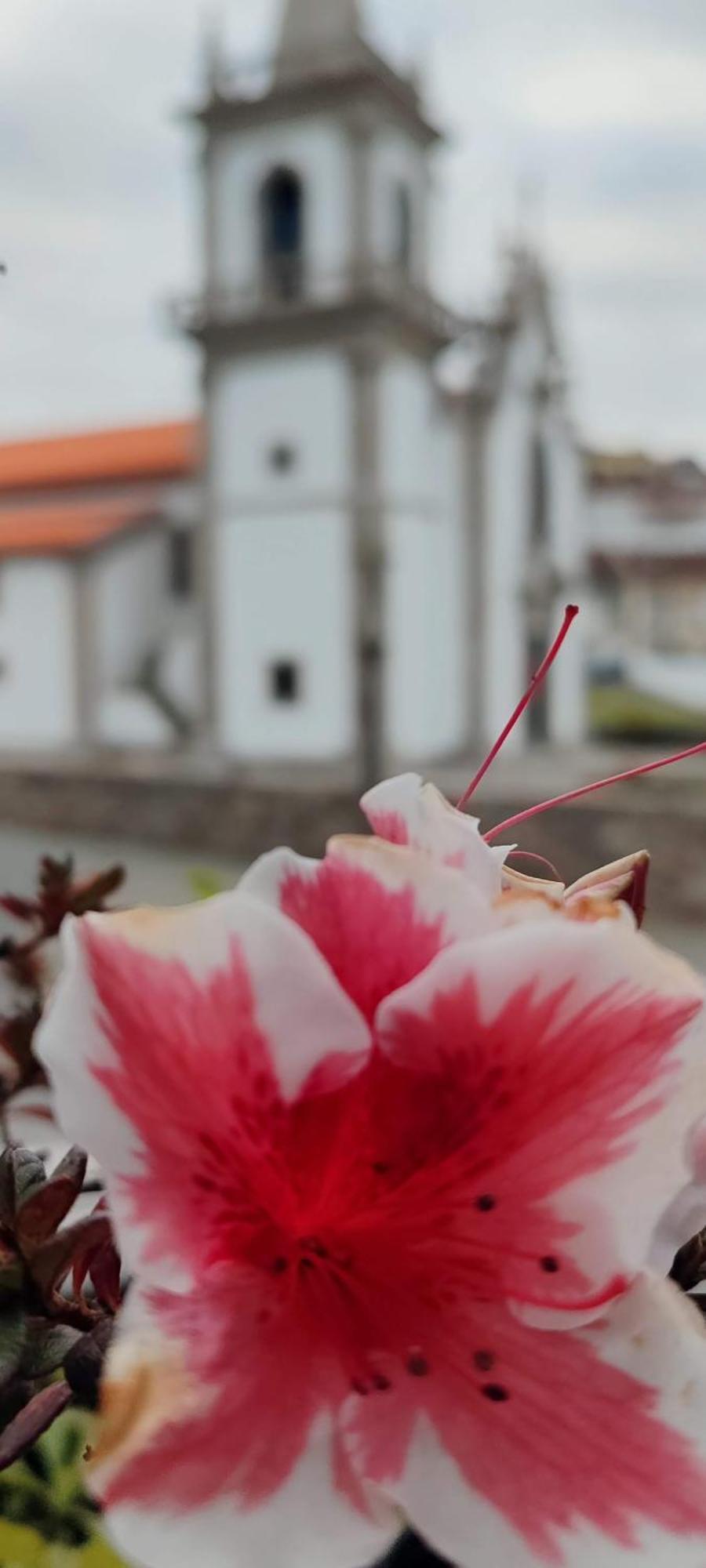 Donna Nega Alojamento Local Caminha Bagian luar foto